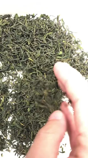 Top Grade Fresh Sliver Needle White Tea Loose Leaf Tea