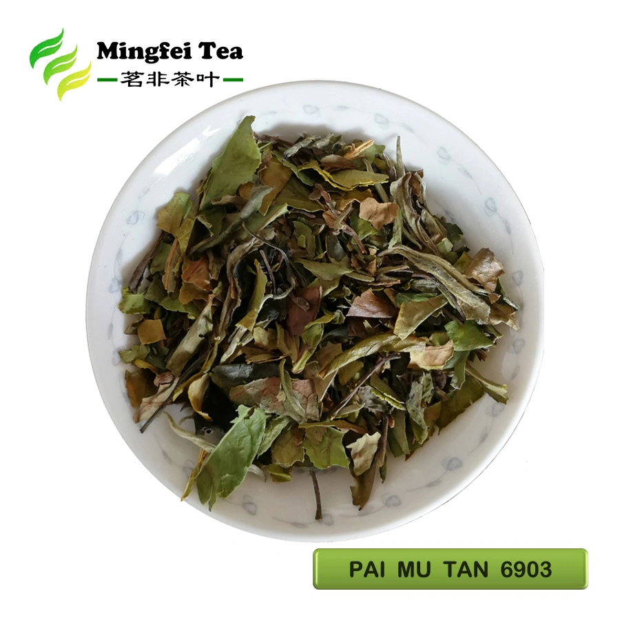 White Peony Tea White Tea Best Fermented Organic PAI MU TAN 6900/6902/6903 (Europe/America)