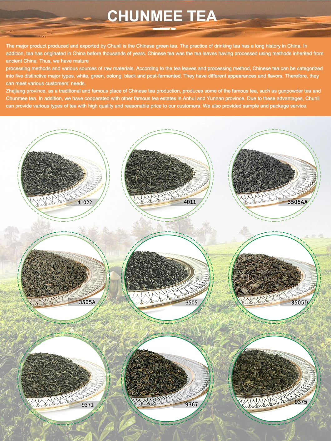 Gunpowder Green Tea 3505A Wholesale Price for Africa