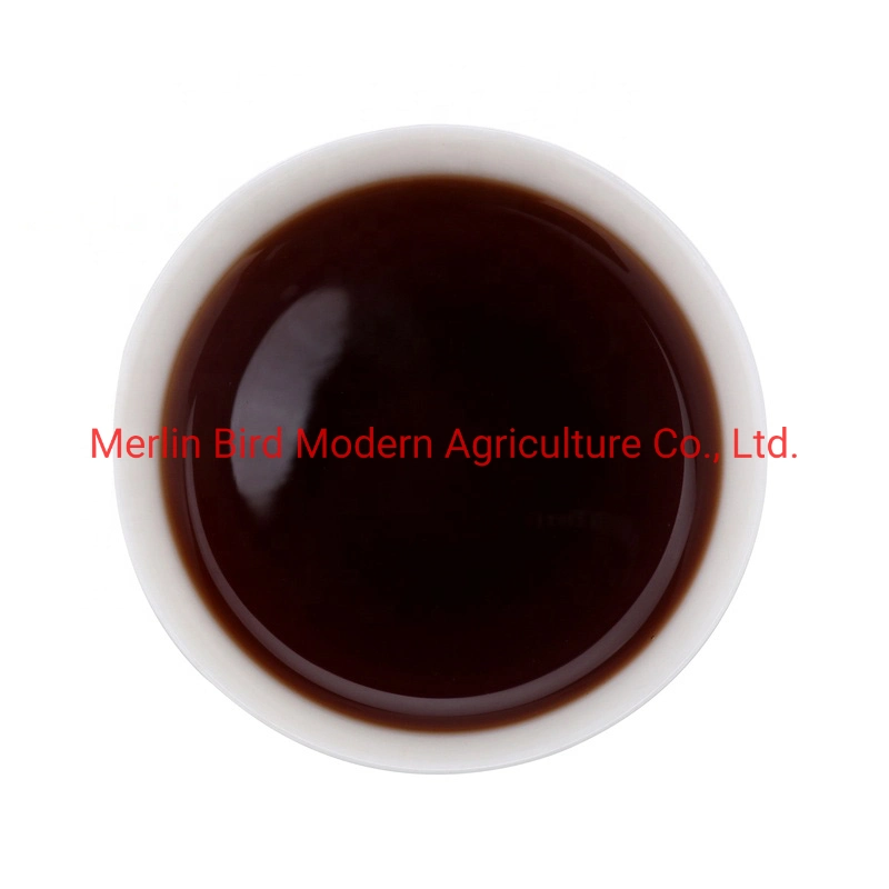 5 Years Aged Loose Leaf 100% Natural Organic Ripe Pu′erh Tea