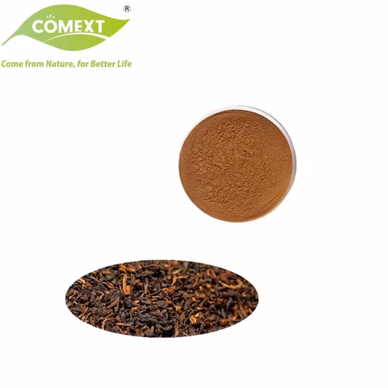 Comext 100% naturel meilleur prix poudre Puer thé naturel extrait de thé Puer 10: 1